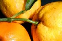 Fachkraft für Fruchtsafttechnik: Verarbeitung von Obst
